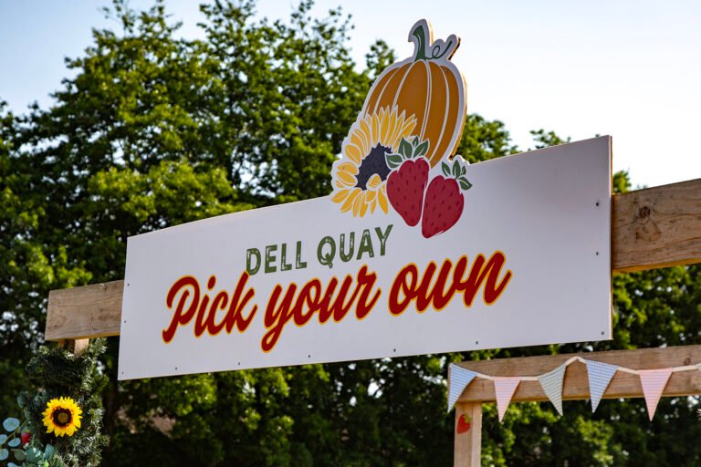 Pick-Your-Own Events – All Year Round