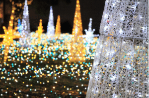 Evening Events for the whole family