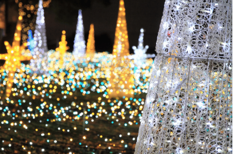  Evening Events for the whole family 