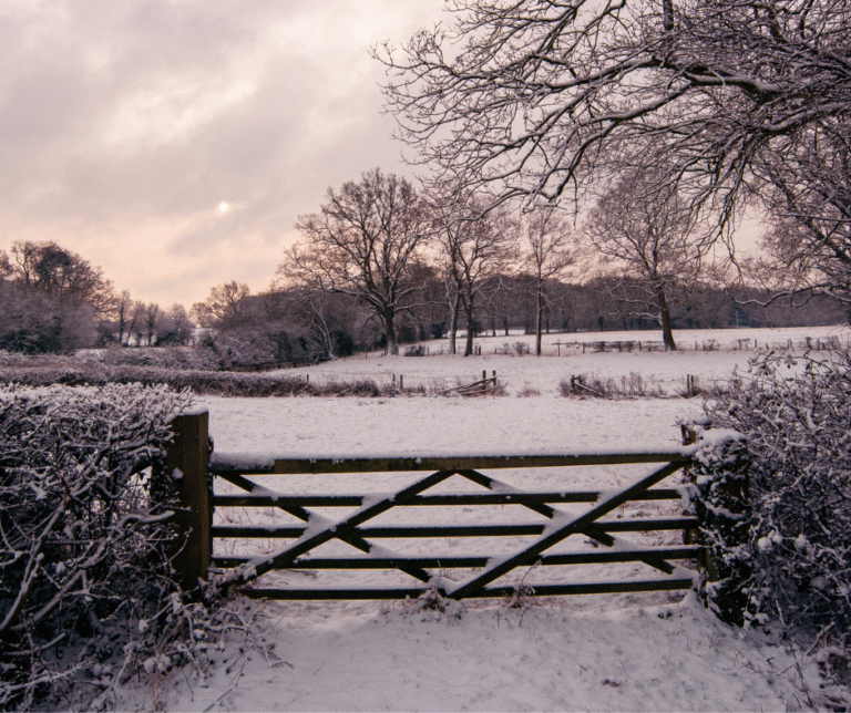 Family Friendly Winter Walks