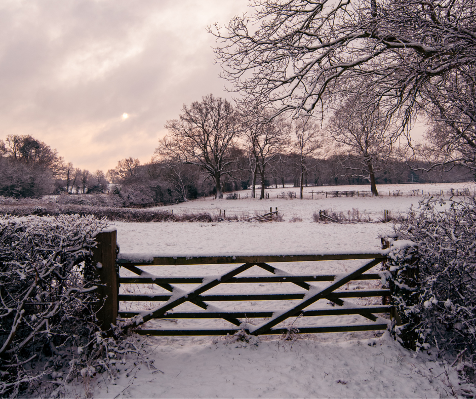 Family Friendly Winter Walks